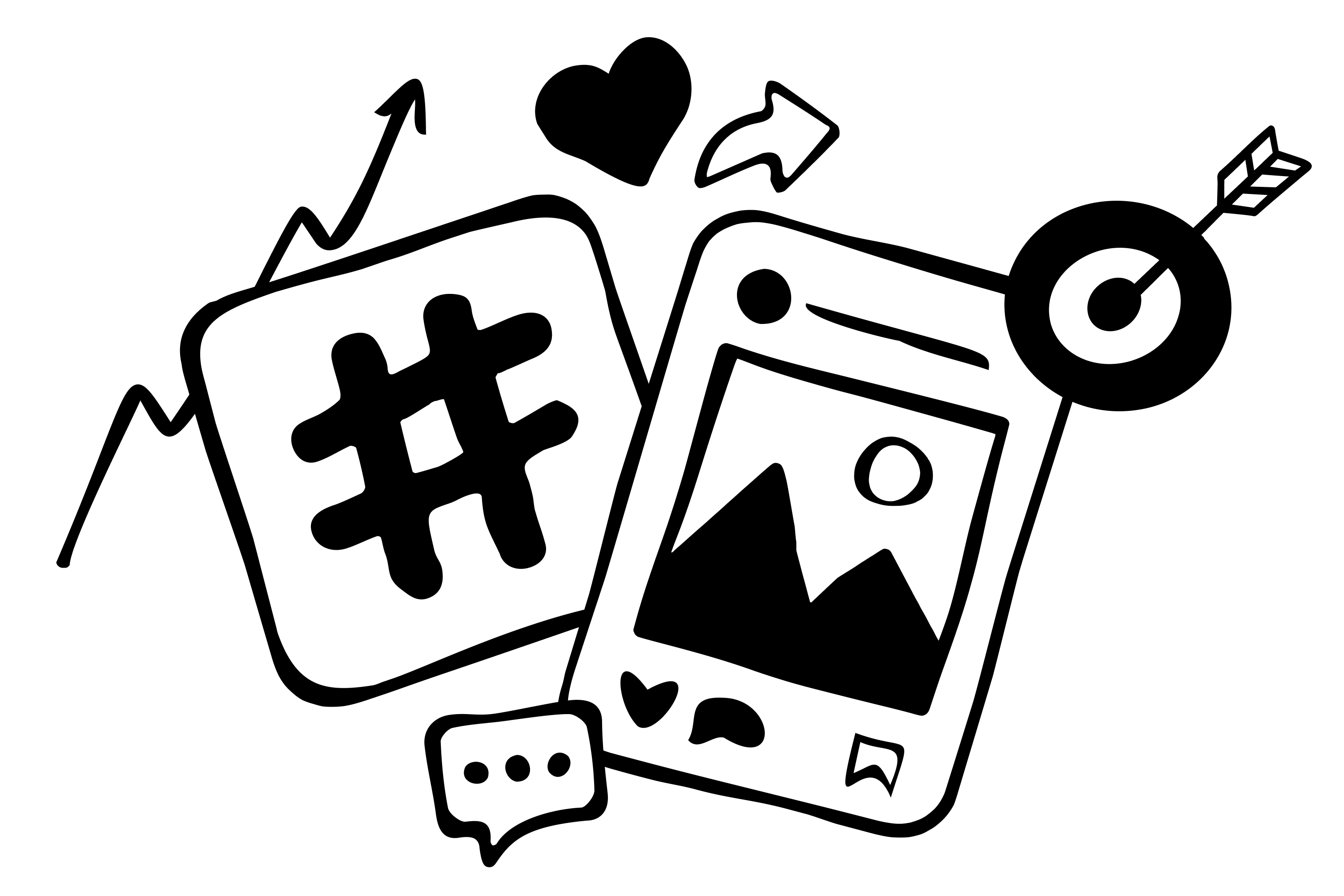 Social Media Management